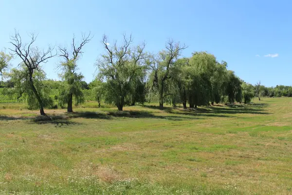 Doğanın güzel manzarası