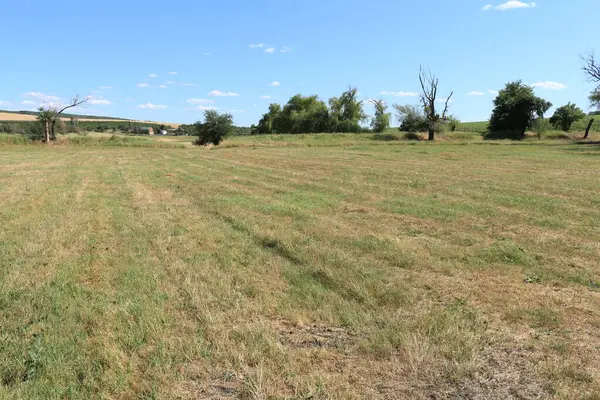 Tarladaki saman balyalarının manzarası