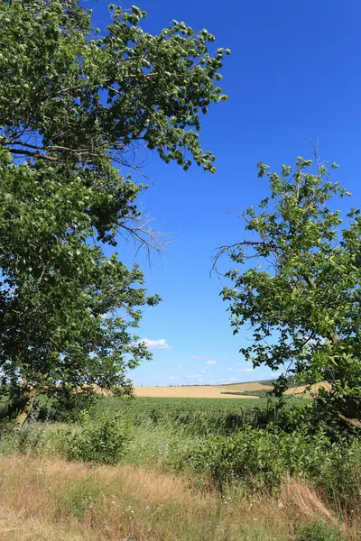 Kırsal alanın güzel manzarası