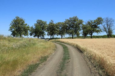 Kırsal kesimde kırsal kesimde yol var.