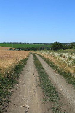 Güney Arjantin 'de kırsal alan