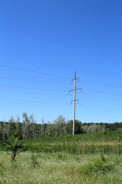 Gökyüzünün arka planında elektrik hatları ve kablolar ve yeşil bir alan
