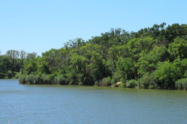 Ağaçlar ve çalılarla çevrili küçük bir göl..
