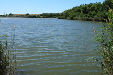Arka planda bir nehir olan güzel bir manzara.