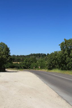 road sign with a lot of trees