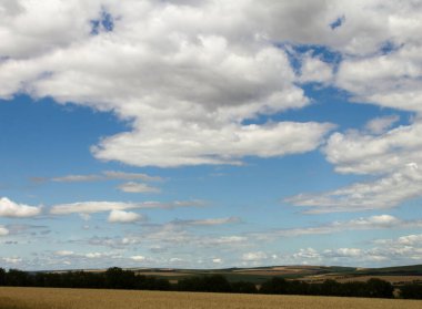 Mavi gökyüzü olan bir tarlanın manzarası