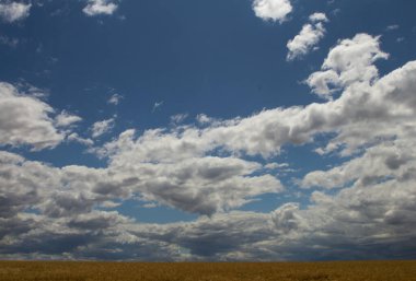 Çim ve gökyüzü tarlası