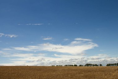 Kırsal manzarası çok güzel.