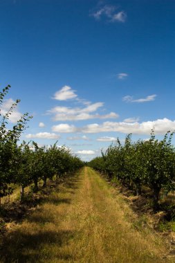 Doğanın güzel manzarası