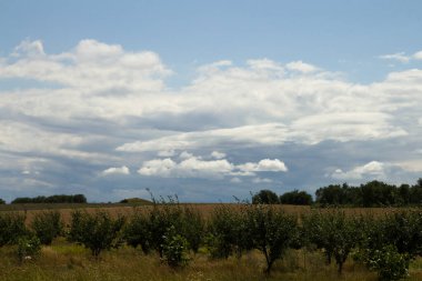 Doğanın güzel manzarası