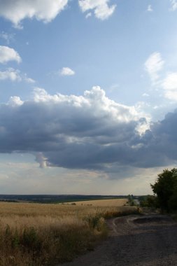 Çimen tarlası ve bulutlu gökyüzü olan güzel bir manzara.