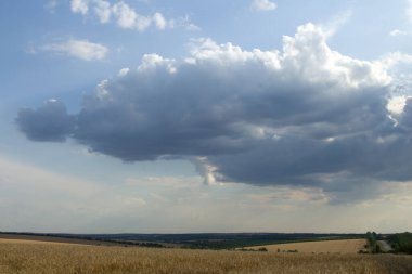 Güzel yaz alan manzara