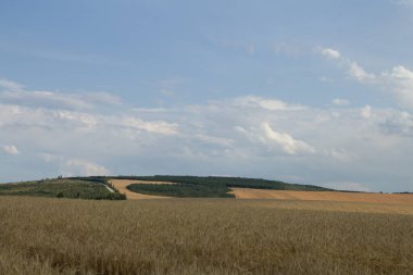 alan yaz aylarında Mısır