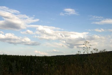 Bulutları ve mavi gökyüzü olan güzel bir manzara.