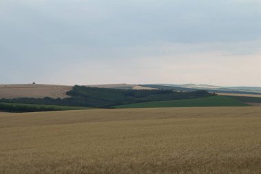 Kırsal alanların ve çayırların güzel manzarası