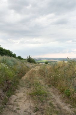 Tarladaki yolun üstünden güzel bir manzara