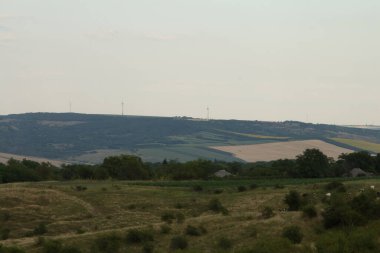 Yeşil çimenli ve mavi gökyüzüyle manzara