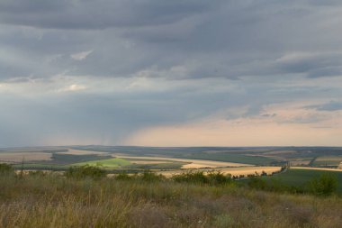 Buğday tarlası ve buğday tarlası..