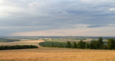 Buğday tarlası olan güzel bir manzara, bulutlu bir gün.