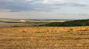 Çimen tarlası olan güzel bir manzara
