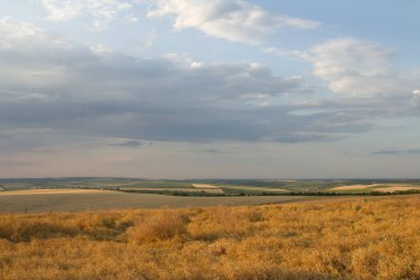 Çimen ve bulutlarla kaplı yaz manzarası.