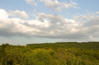 Yeşil çimenler ve mavi gökyüzü ile yaz günü manzara