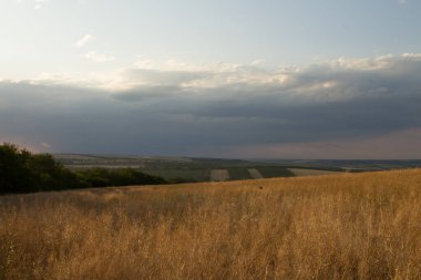 Tarlada güzel bir gün batımı