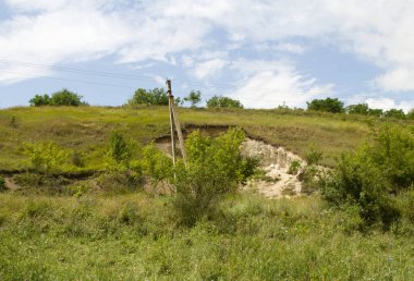 Ormandaki tepeye giden yol.