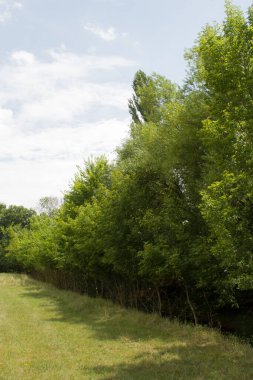 Doğanın güzel manzarası