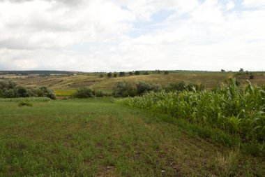 Yeşil Alan ve Bulutlu Gökyüzü