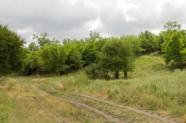 Ağaçlar ve bulutlarla dolu güzel bir yaz manzarası