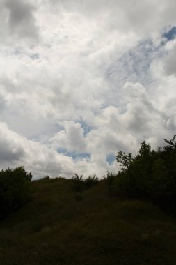 Ağaçlar ve bulutlarla dolu güzel bir manzara.