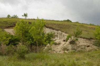 Yeşil tepelerin manzarası