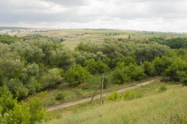 Yazın yeşil ağaçlar ve tepeler olan manzara