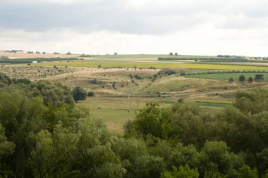 Bulutlu gökyüzünün altında yeşil bir tarlanın güzel bir görüntüsü.