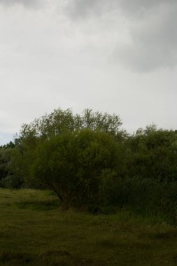 Doğa ve Rusya 'nın güzel manzarası