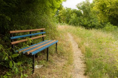 Otlu bir tarlada bir bank