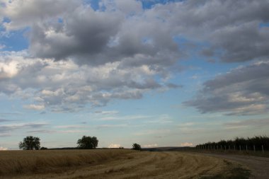 Doğanın güzel manzarası