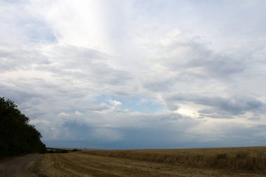 Yazın buğday tarlaları üzerinde fırtına bulutu