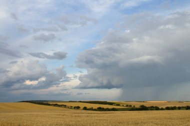 Kırsal bölgedeki buğday tarlaları üzerinde fırtına bulutları
