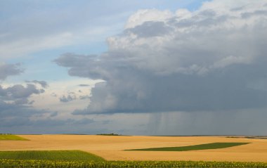 Fırtına bulutları buğday alanın üzerinde