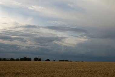 Tarlanın üzerinde güzel bir gün batımı.