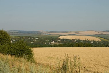 Yaz aylarında kırsal manzara