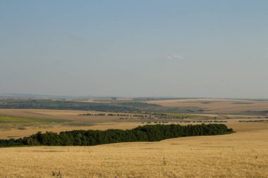 kırsal alan, tarla, mavi gökyüzü, bulutlar