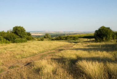 Kırsal kesimde kırsal alan