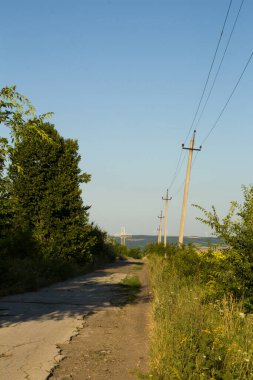 Ormandaki boş bir yolun dikey görüntüsü.