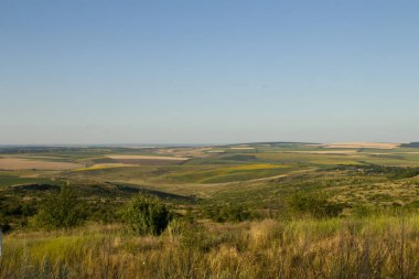 Buğday tarlası ve bulutlu gökyüzü olan güzel bir manzara.