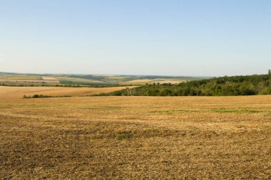 Bir kır yolunun manzarası