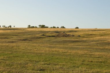 Yazın bir çayırı olan ovanın manzarası