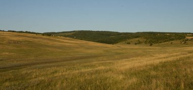 Dağlarda yaz manzarası